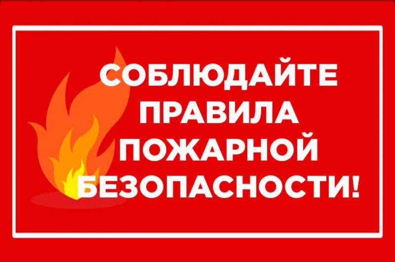 О пожарной ситуации на территории Воронежской области.