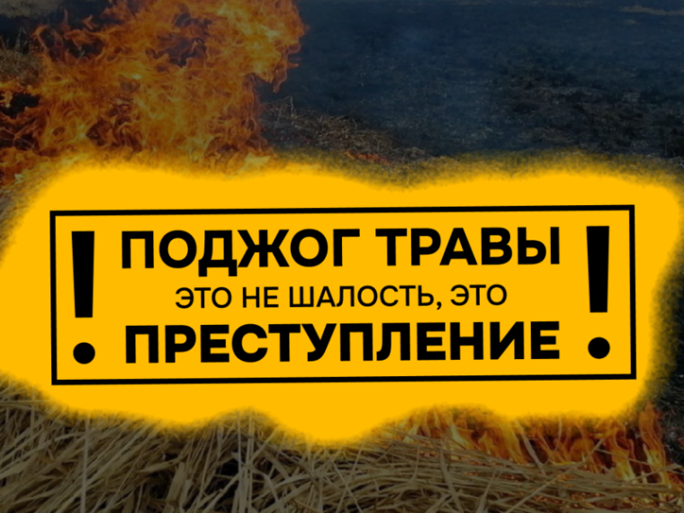 Поджог сухой травы - преступление!. Поджог сухой травы - преступление!.