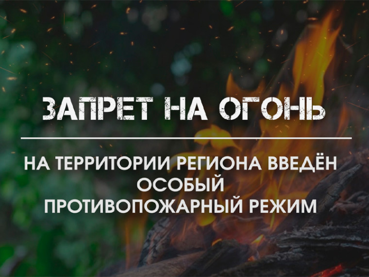 На территории региона введен особый противопожарный режим. На территории региона введен особый противопожарный режим.